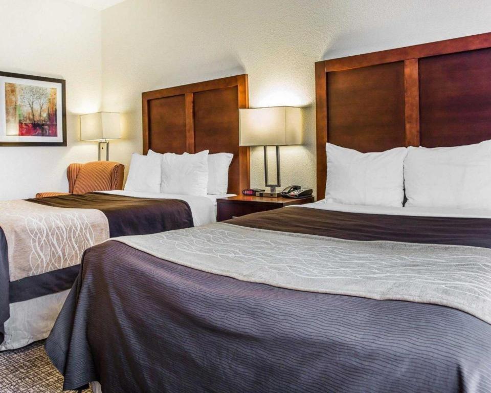 Comfort Inn & Suites Camden Luaran gambar